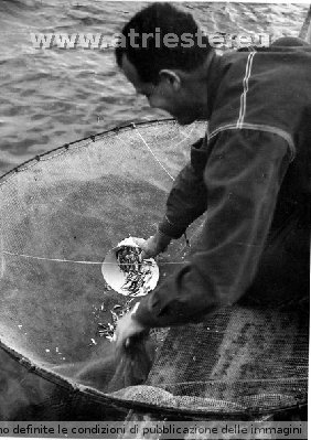 pesca a Lussin- foto del papÃ   di babatriestina