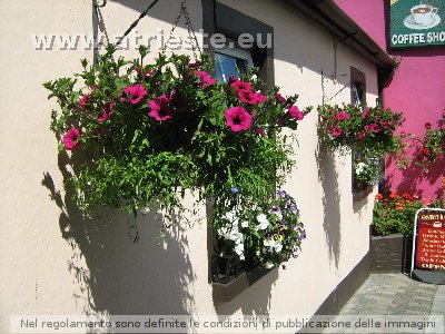 Irlanda 2008 giugno 123.jpg