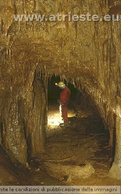 Grotta Arnaldo Germoni a Banne<br />Arnaldo Germoni Cave near Banne<br />Photo by Mauro Kraus