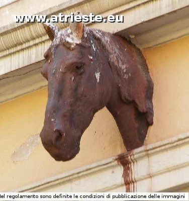 La testa di cavallo che sovrasta l'entrata.