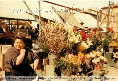 Ponterosso, il mercato.<br />Foto<br />Autore: Rofizal<br />Data: 1964