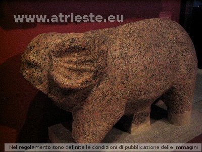 elefante di granito al Kunsthistorischesmuseum di Vienna dalla collezione di Massimiliano