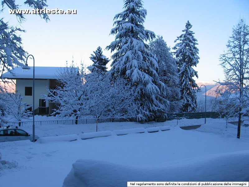 foto nevicata del 4 dicembre 2010 003 copy.jpg