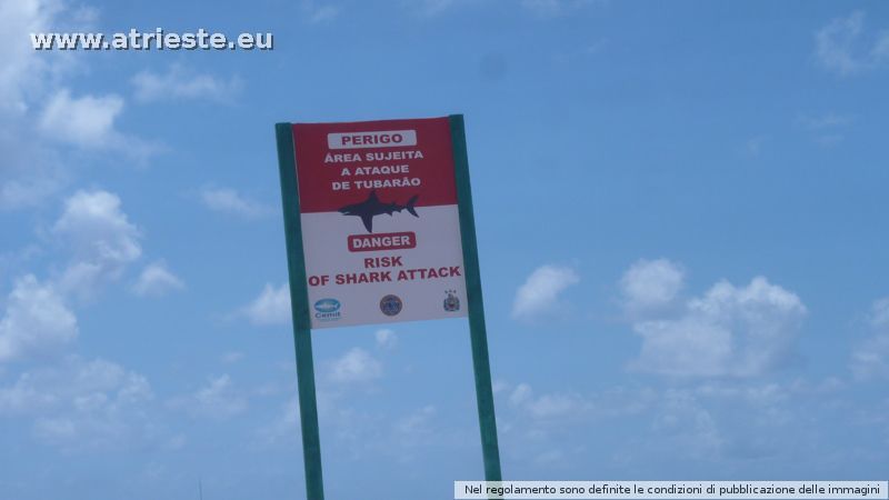 Playa Recife aviso tiburones