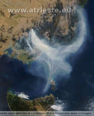 Satellite Photo of bush fires in Victoria