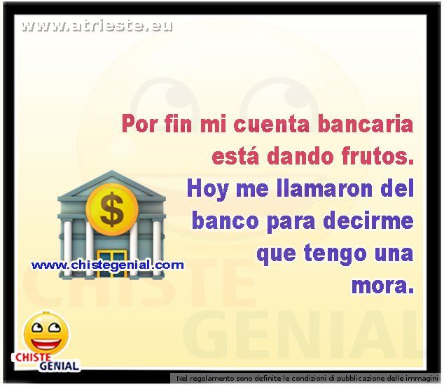 Por-fin-mi-cuenta-bancaria-esta-dando-frutos-chistes-cortos.jpg