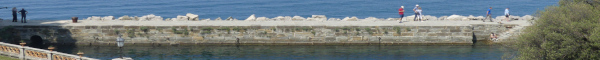wiki_header_random_67.jpg