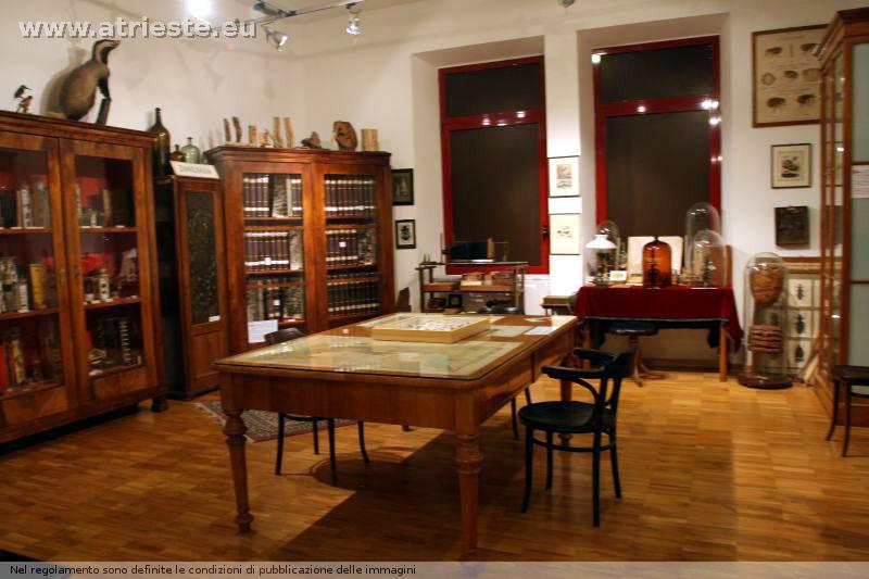 www.atrieste.eu_foto_a002_museits_museostorianaturale032.jpg