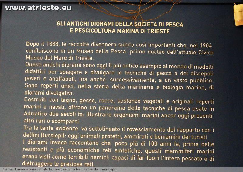 www.atrieste.eu_foto_a002_museodelmare2_museodelmare6novembre147.jpg