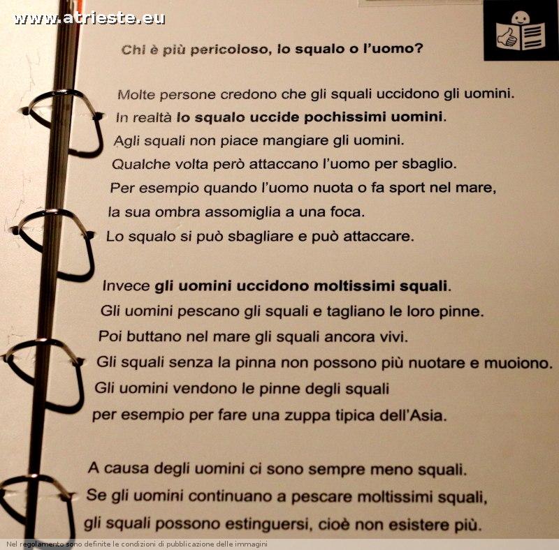 www.atrieste.eu_foto_a002_museostorianaturale_storianaturalemarzo17164.jpg