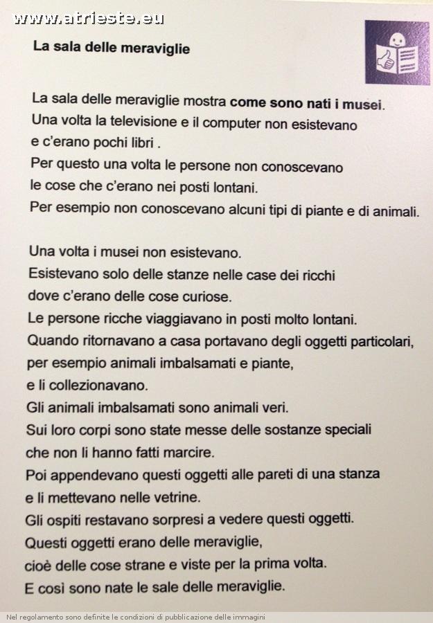 www.atrieste.eu_foto_a002_museostorianaturale2_museostorianaturale10feb35.jpg