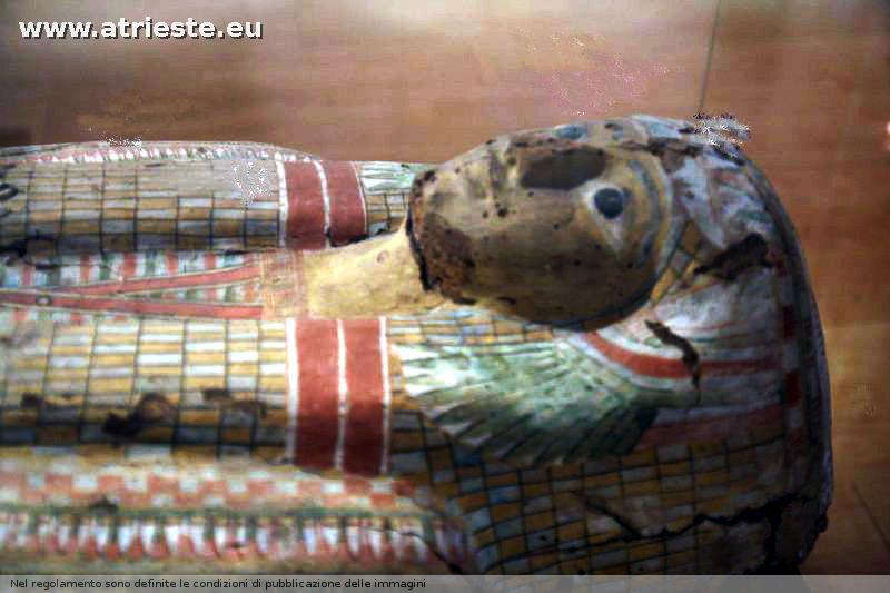 mummia in deposito dal Museo di storia naturale dovrebbe essere di epoca  tarda epoca greco-romana in cui si usavano ancora le antiche tradizioni, attualmente ritirata in previsione di un restauro