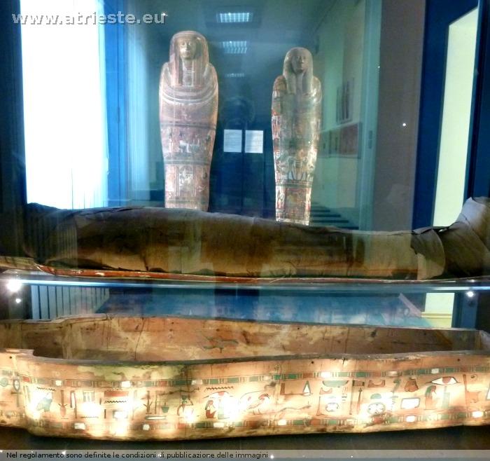 mummia in deposito dal Museo di storia naturale